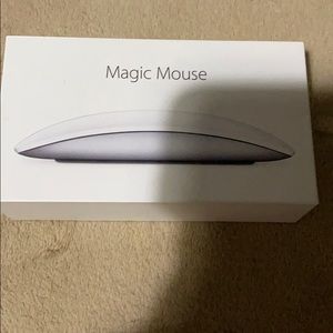 Magic mouse 2